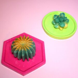 Cactus & Succulent Trinket Dish | Ring Dish | Decorative Tray – Your Choice of Style!